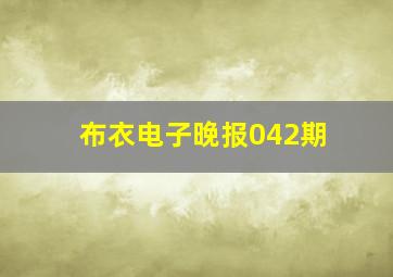 布衣电子晚报042期