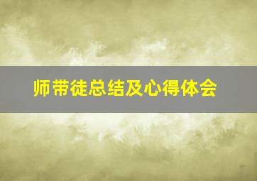 师带徒总结及心得体会