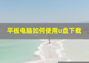 平板电脑如何使用u盘下载