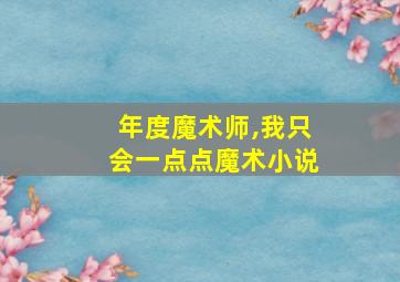 年度魔术师,我只会一点点魔术小说