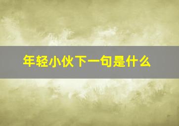 年轻小伙下一句是什么