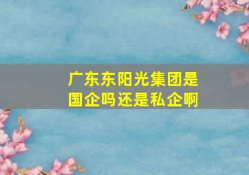 广东东阳光集团是国企吗还是私企啊