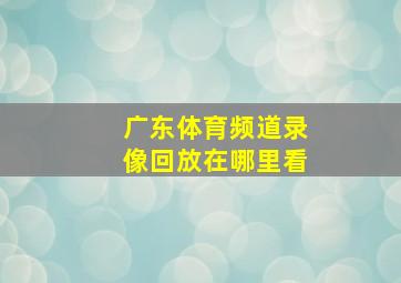 广东体育频道录像回放在哪里看