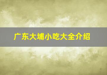 广东大埔小吃大全介绍