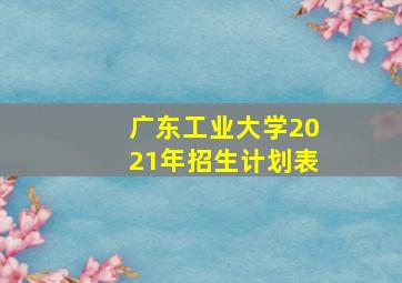 广东工业大学2021年招生计划表