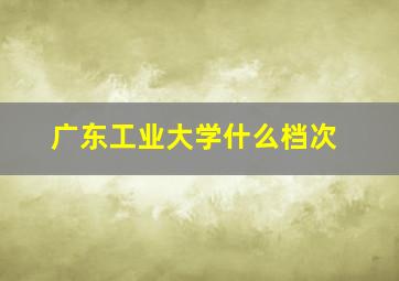 广东工业大学什么档次