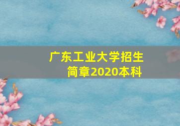 广东工业大学招生简章2020本科