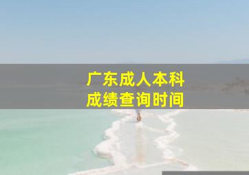 广东成人本科成绩查询时间