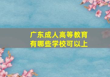 广东成人高等教育有哪些学校可以上