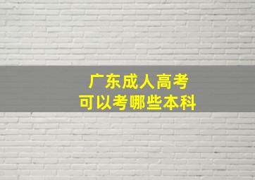 广东成人高考可以考哪些本科