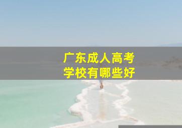 广东成人高考学校有哪些好