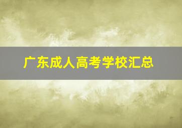 广东成人高考学校汇总