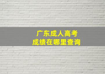 广东成人高考成绩在哪里查询