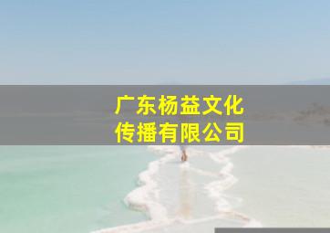 广东杨益文化传播有限公司