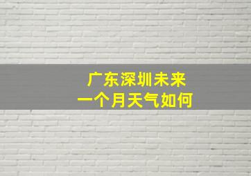 广东深圳未来一个月天气如何