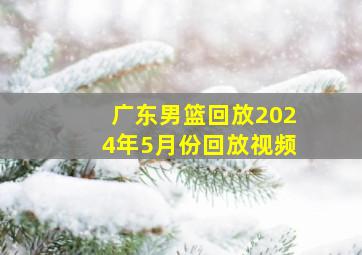 广东男篮回放2024年5月份回放视频