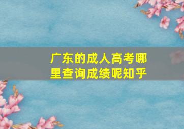 广东的成人高考哪里查询成绩呢知乎