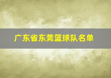 广东省东莞篮球队名单