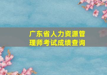 广东省人力资源管理师考试成绩查询