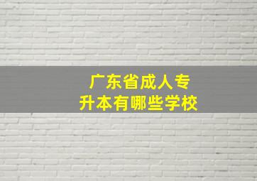 广东省成人专升本有哪些学校