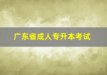 广东省成人专升本考试