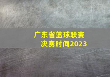 广东省篮球联赛决赛时间2023