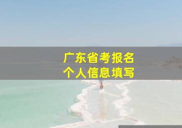 广东省考报名个人信息填写