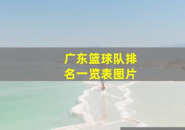 广东篮球队排名一览表图片