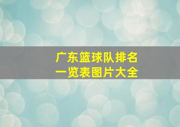 广东篮球队排名一览表图片大全