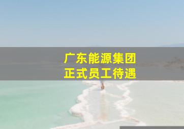 广东能源集团正式员工待遇