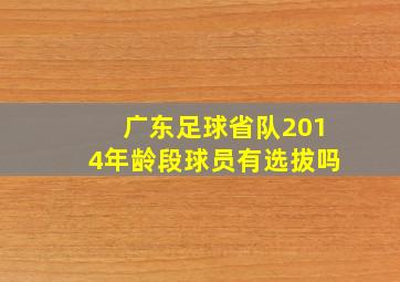 广东足球省队2014年龄段球员有选拔吗