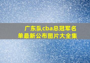 广东队cba总冠军名单最新公布图片大全集