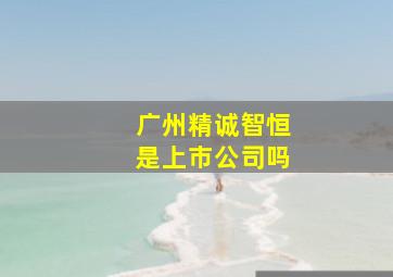 广州精诚智恒是上市公司吗