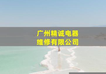 广州精诚电器维修有限公司