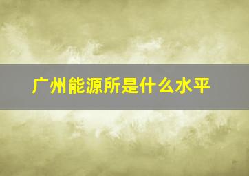 广州能源所是什么水平