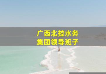 广西北控水务集团领导班子