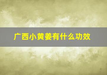 广西小黄姜有什么功效