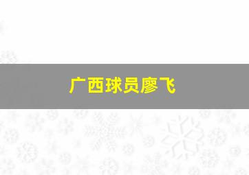 广西球员廖飞