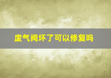 废气阀坏了可以修复吗