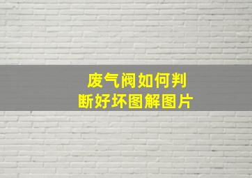 废气阀如何判断好坏图解图片