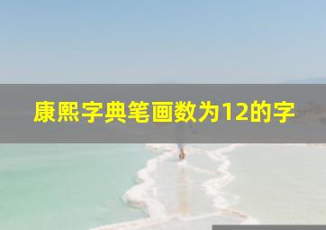 康熙字典笔画数为12的字