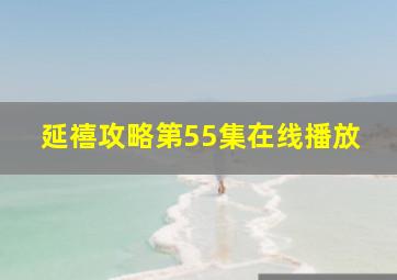 延禧攻略第55集在线播放