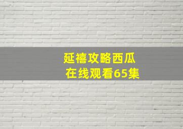 延禧攻略西瓜在线观看65集