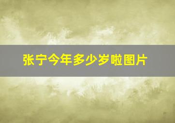 张宁今年多少岁啦图片