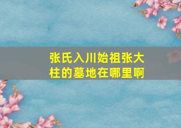 张氏入川始祖张大柱的墓地在哪里啊