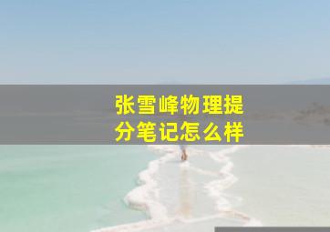 张雪峰物理提分笔记怎么样