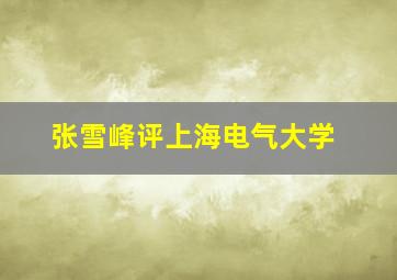 张雪峰评上海电气大学