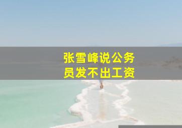 张雪峰说公务员发不出工资