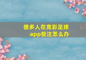 很多人在竞彩足球app投注怎么办