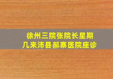 徐州三院张院长星期几来沛县郝寨医院座诊